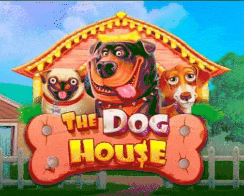 Play The Dog House in Kingmaker Casino